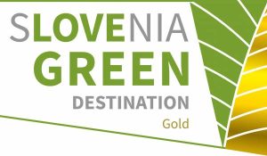 logo destintion gold